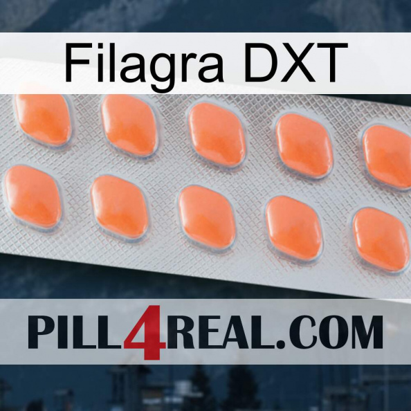 Filagra DXT 26.jpg